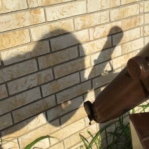 Meet your Posher, Mekenna van